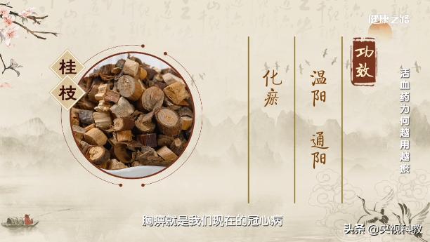 活血通络药的禁忌,活血药的正确使用方法