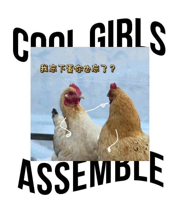 向往的生活锅碗瓢盆分别被谁养,向往的生活锅碗瓢盆4只狗