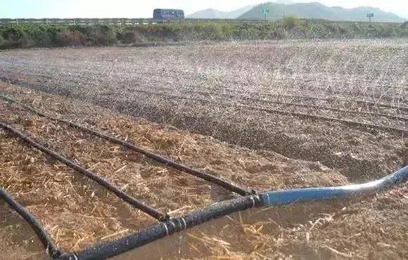 以色列水肥一体化,以色列高科技农业水肥一体化