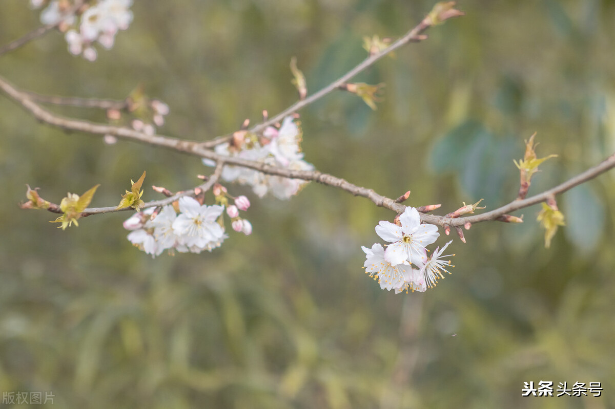 怎么让自己变得开心起来,焦虑症怎样让自己变得开心