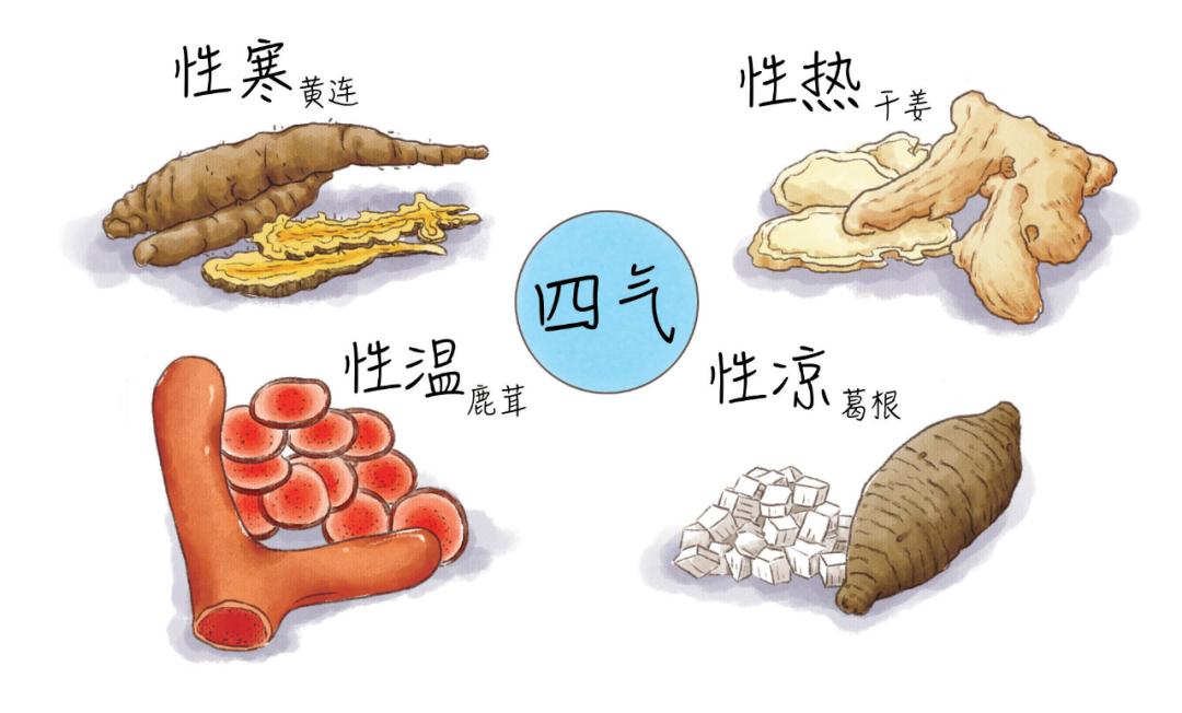 中医药文化认识,中医药养生的认知