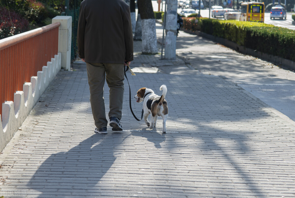 中医治肺气肿慢阻肺,中医调理慢阻肺的方法