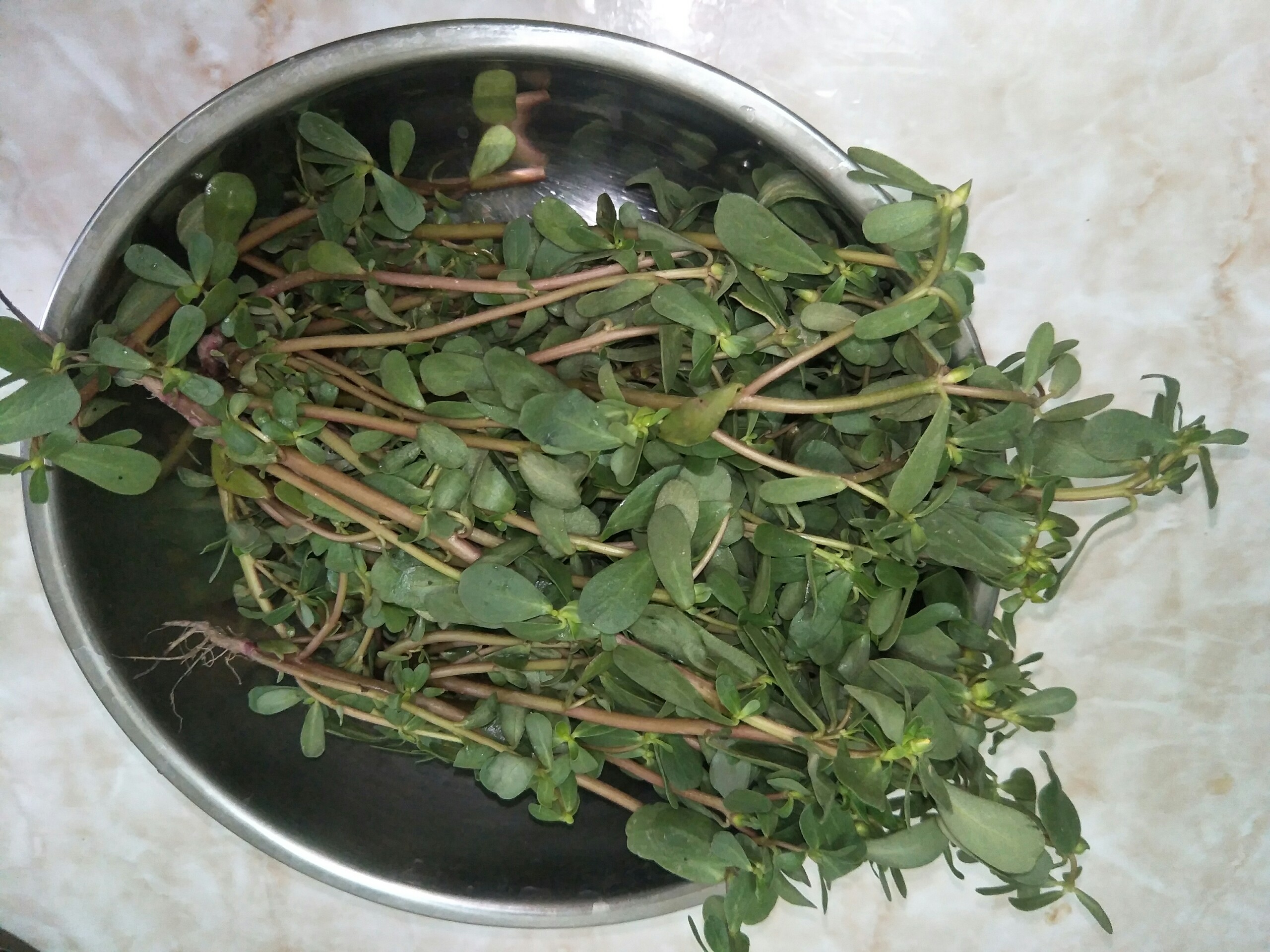 7旬老人卖野菜2元一斤,大妈野菜被贩子卖2元