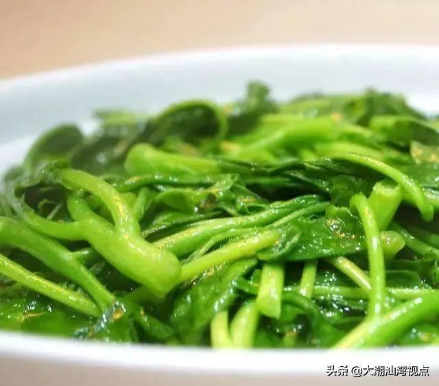 潮汕紫色芥蓝,为什么广东人喜欢吃芥蓝