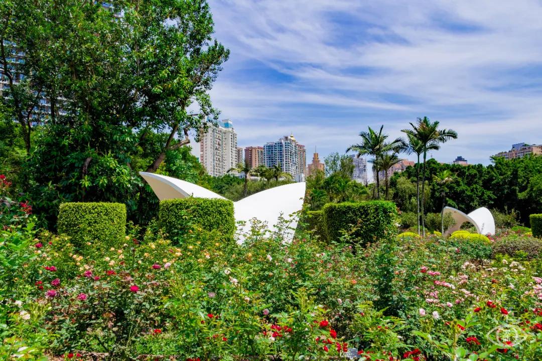 重庆轨道3号线,贵阳地铁3号线