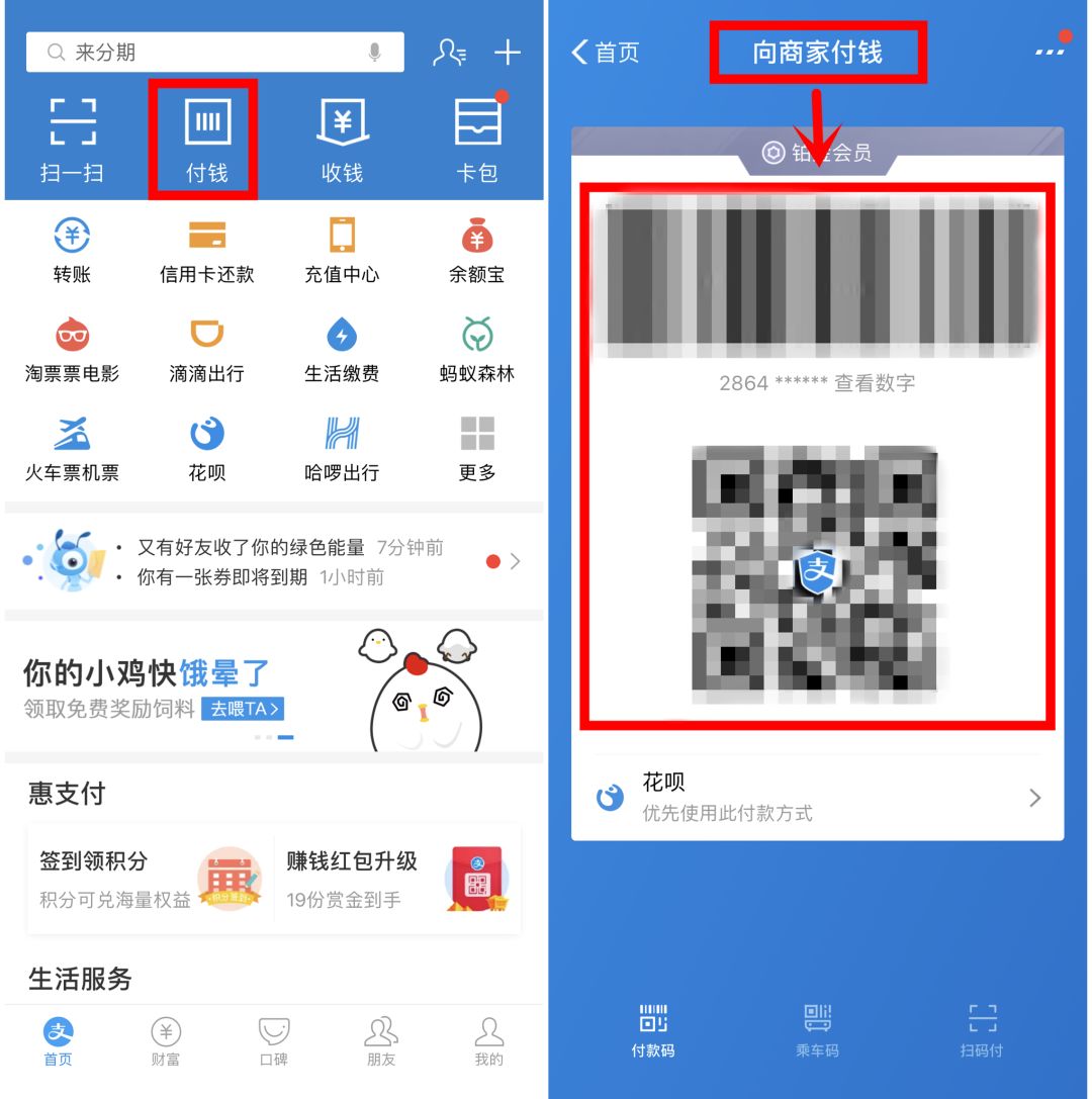 手机支付码和付款码是一样的吗,用付款码支付需要支付密码吗