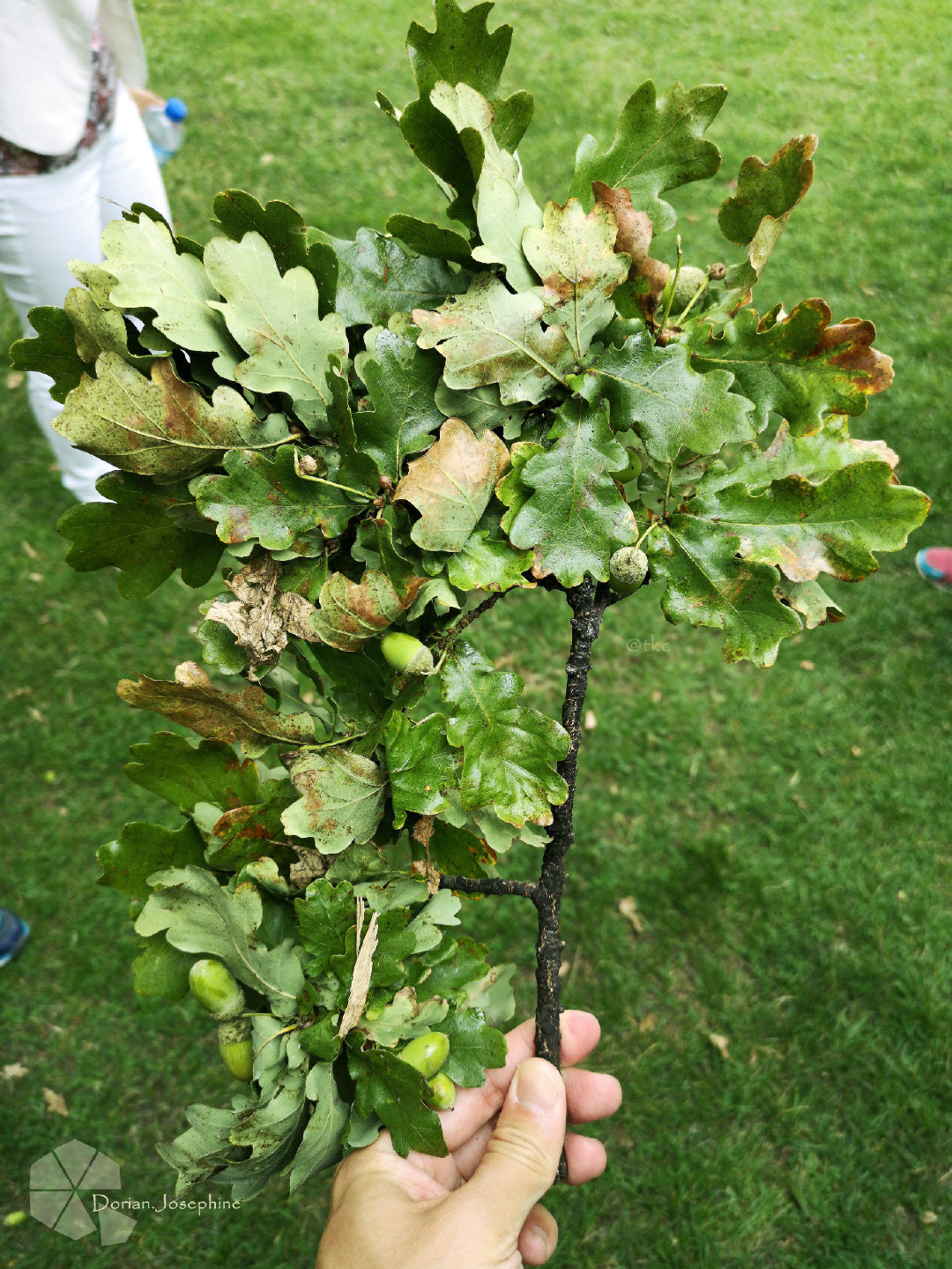 新西兰南岛一日游,新西兰南岛旅游地图