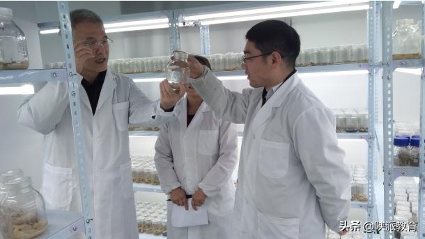 瓒呯墰绉戞妧鐮斿彂鍧﹀厠鍚庣画,涓浗瓒呯墰鏁欐巿