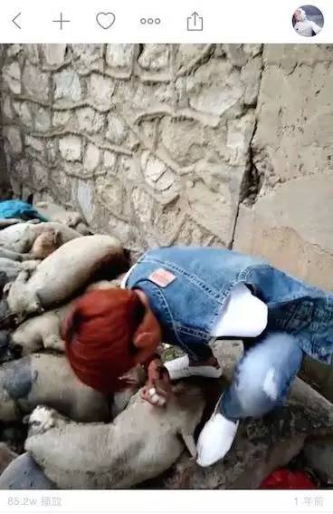 蹦迪比社会摇更高级吗？快手为什么是中国第一视频app？