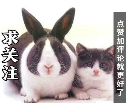 高钙低脂奶好还是舒化奶好,高钙高蛋白脱脂奶