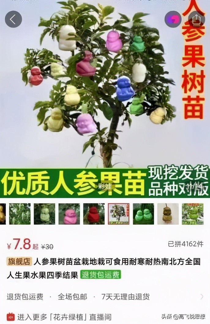 网上卖的假果树苗,假果树苗骗局揭秘