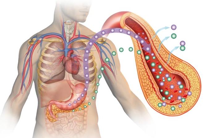 肥胖引起高胰岛素血症吃什么药,肥胖导致的胰岛素高怎么办