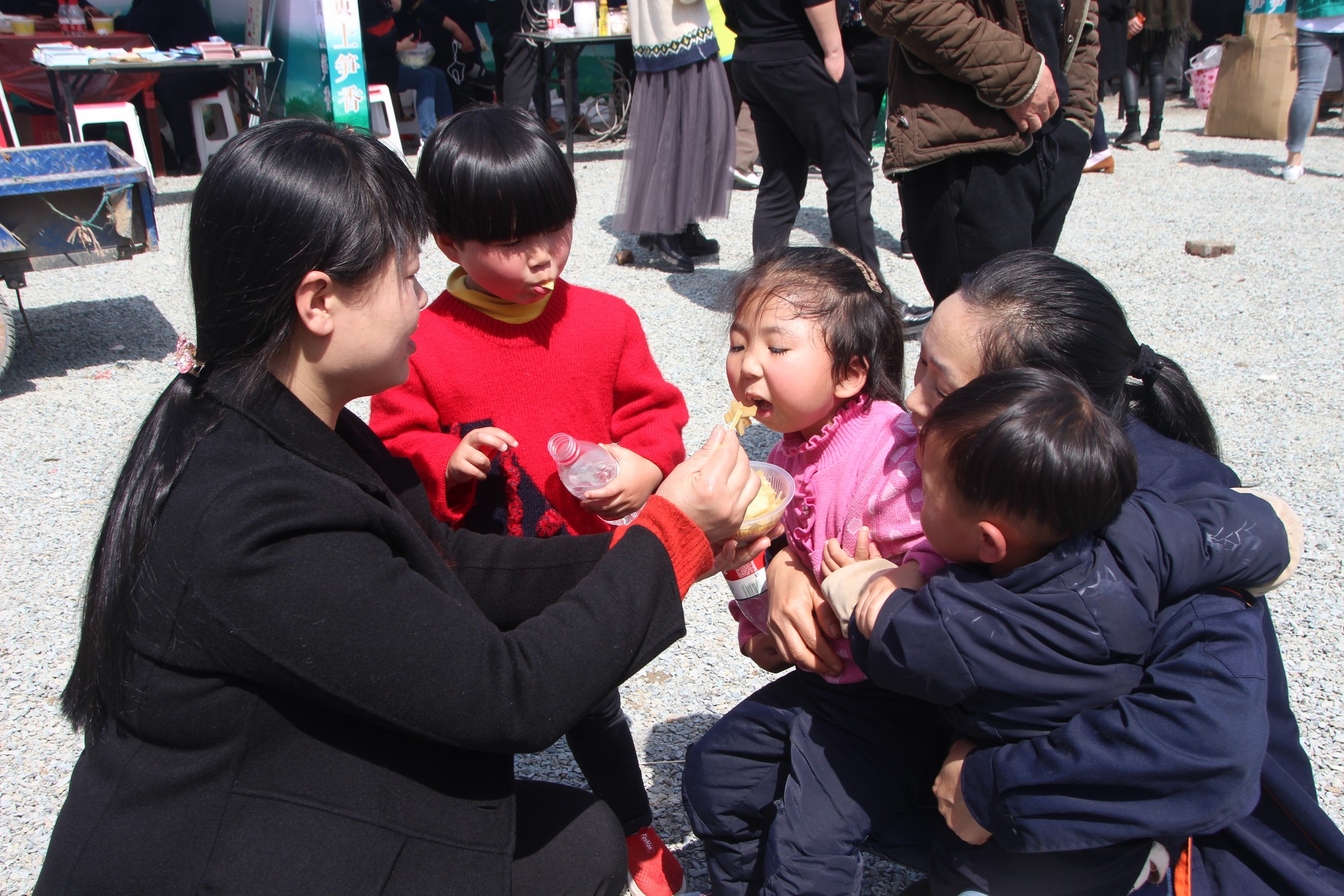 浙江临海沿江镇竹笋,临海市野生竹笋