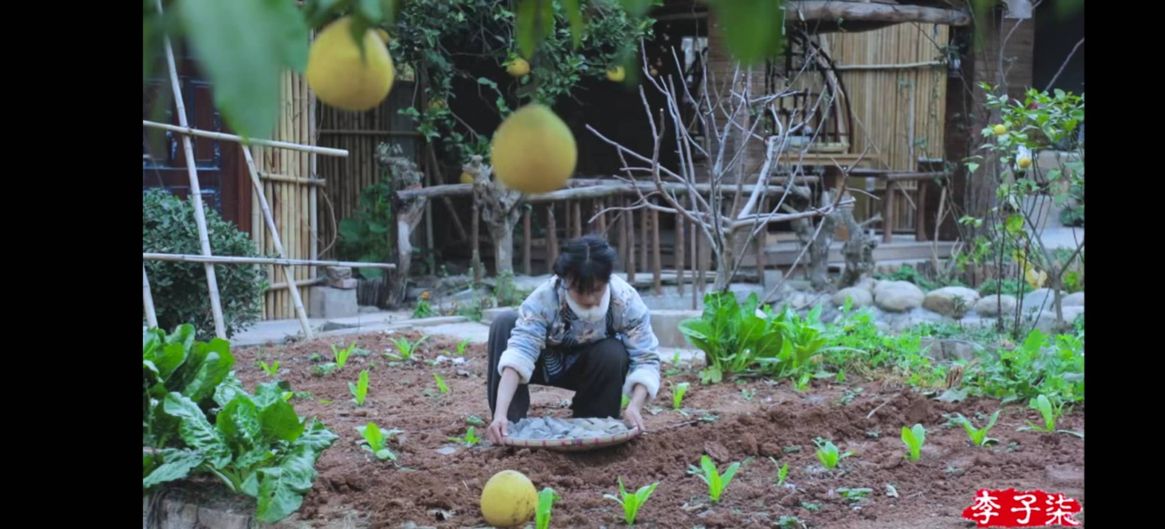 凭什么李子柒的土豆能上热搜？看了十遍视频后，我终于有了答案