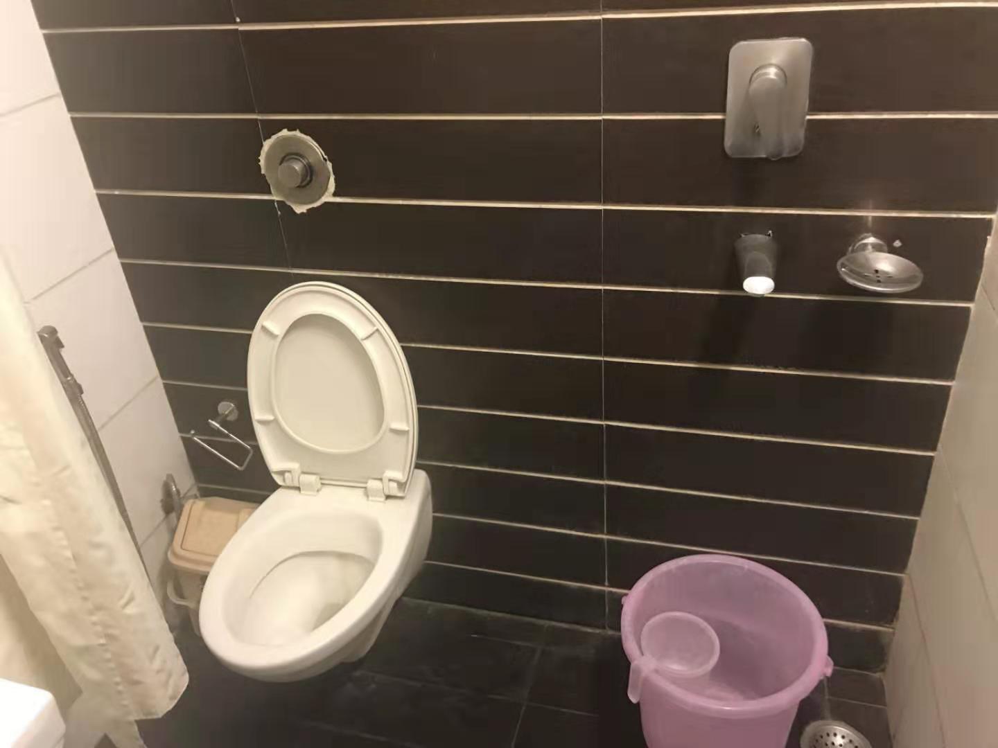 印度见闻17分钟,印度见闻2019