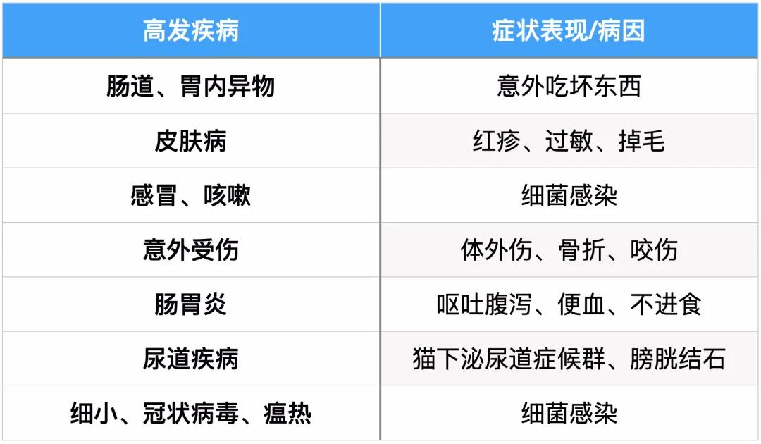 现在给猫狗看病贵么,猫看病比狗贵吗