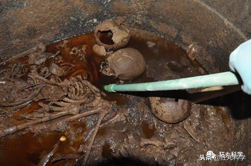 木乃伊泡水里吗,木乃伊泡水喝
