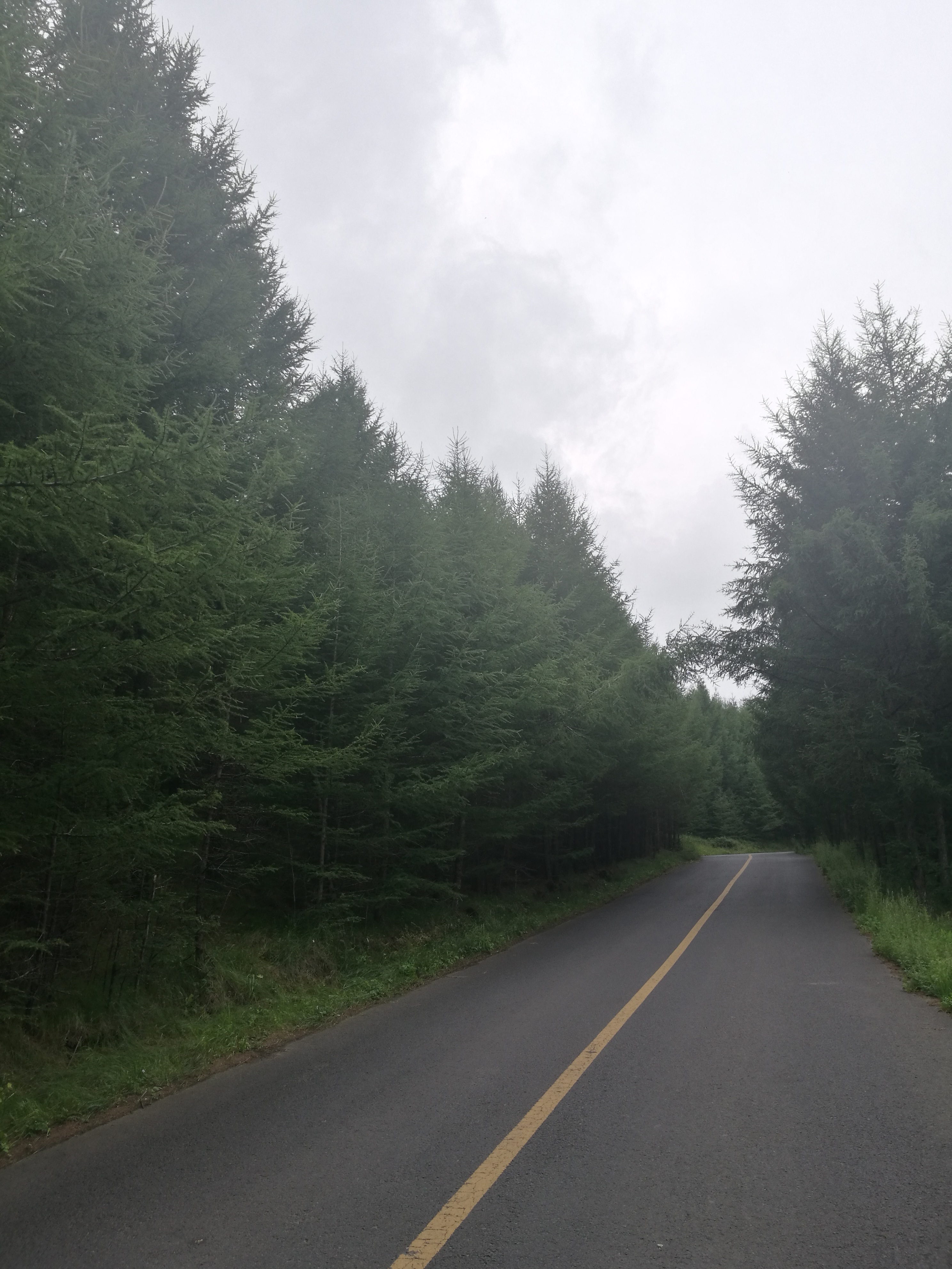 消费心理学预期消费和实际消费,消费心理学和心理学