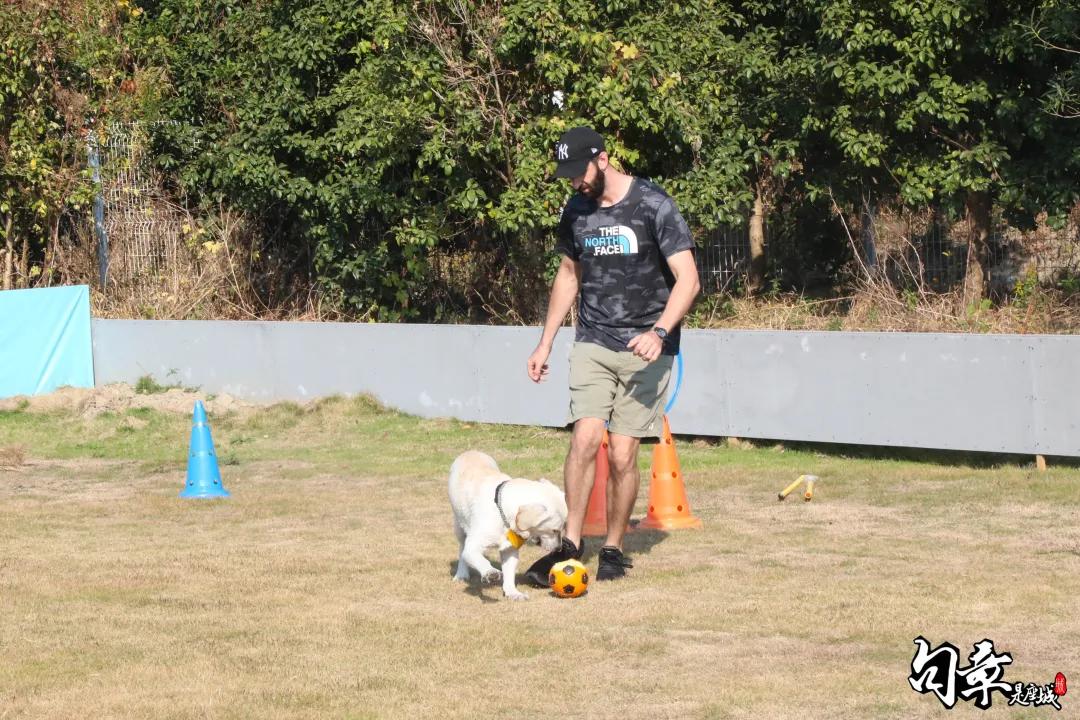 汪汪汪~宁波首家宠物主题乐园登陆江北，铲屎官们走起