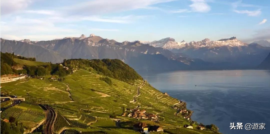 瑞士人竟然这么爱喝,拥有是世界遗产的葡萄园,作业还在靠手工