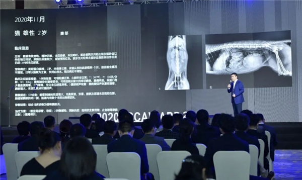 年度盛典第二季完整版哪些得奖了,2022年度盛典圆满结束