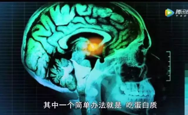 吃早餐真的会让人变胖嘛,bbc科学实验
