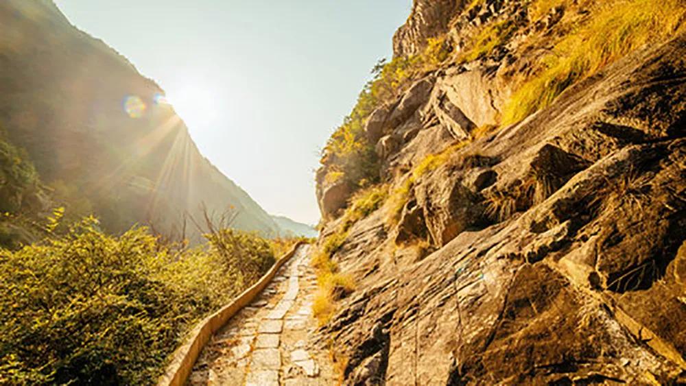 银杏古道自驾游攻略,江浙沪绝美古道苏州