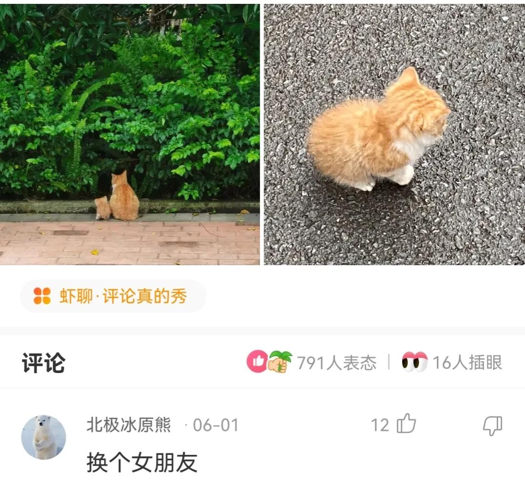 神回复,第一次跟人去打架,我该怎么做才显得自己不是新手?