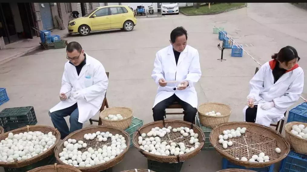 传承了280多年!这道来自嘉兴平湖的奇特美食,你吃过吗?