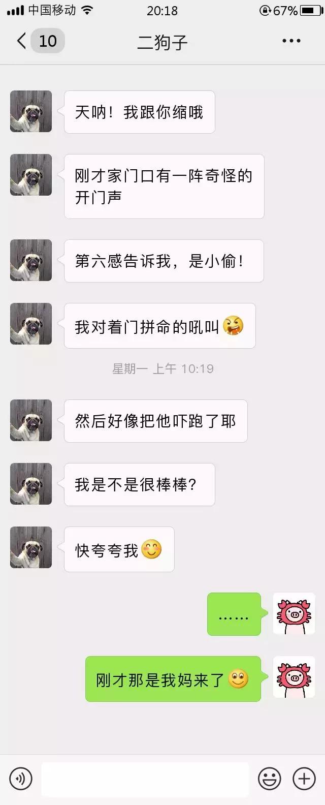 跟我家猫发微信，就像跟渣男在聊天