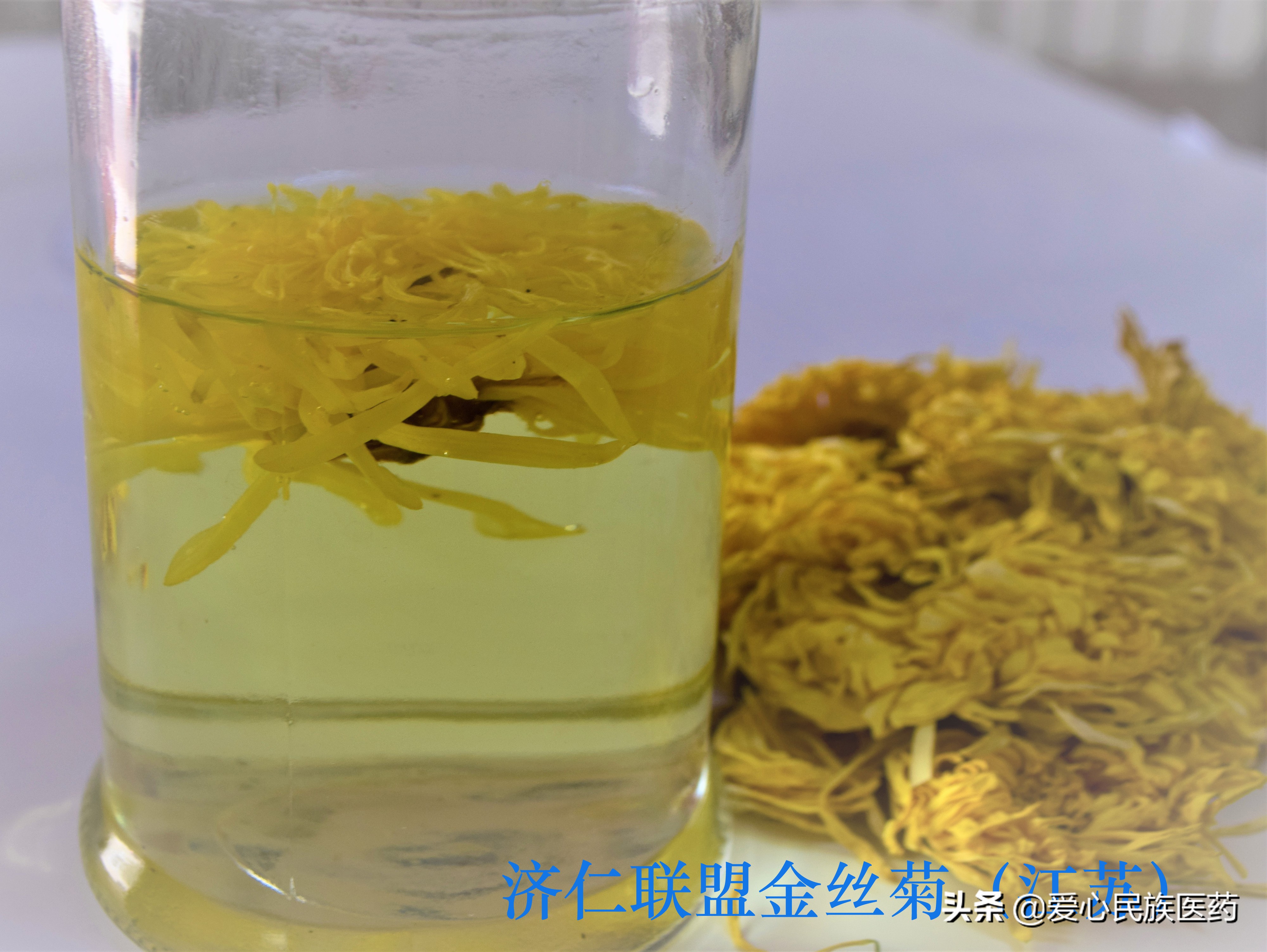 胎菊和金丝皇菊哪个泡水效果好,胎菊和玫瑰花可以一起吗