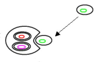 蓝藻这么复杂是如何诞生的,蓝藻有多伟大