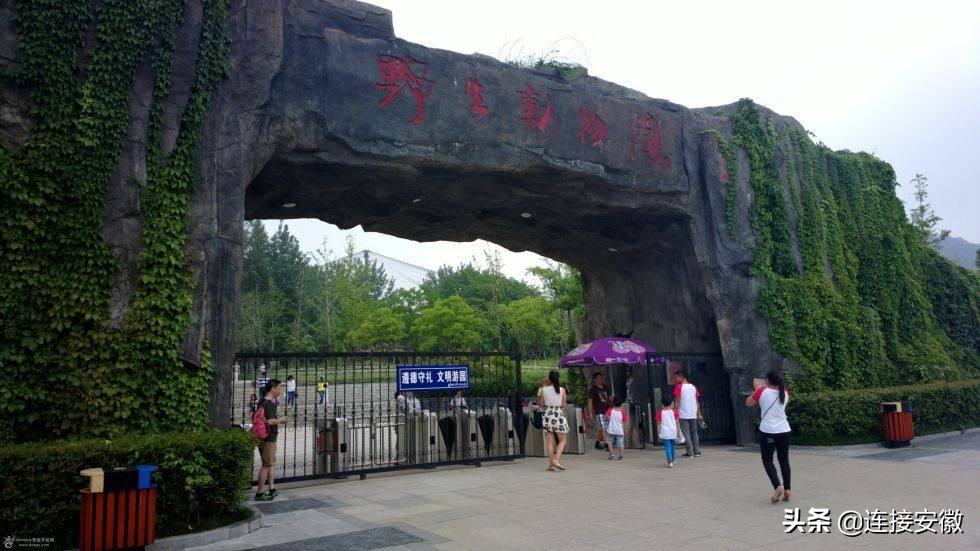 安徽景区60岁以上的人门票免费,安徽景区对60岁以上免费吗