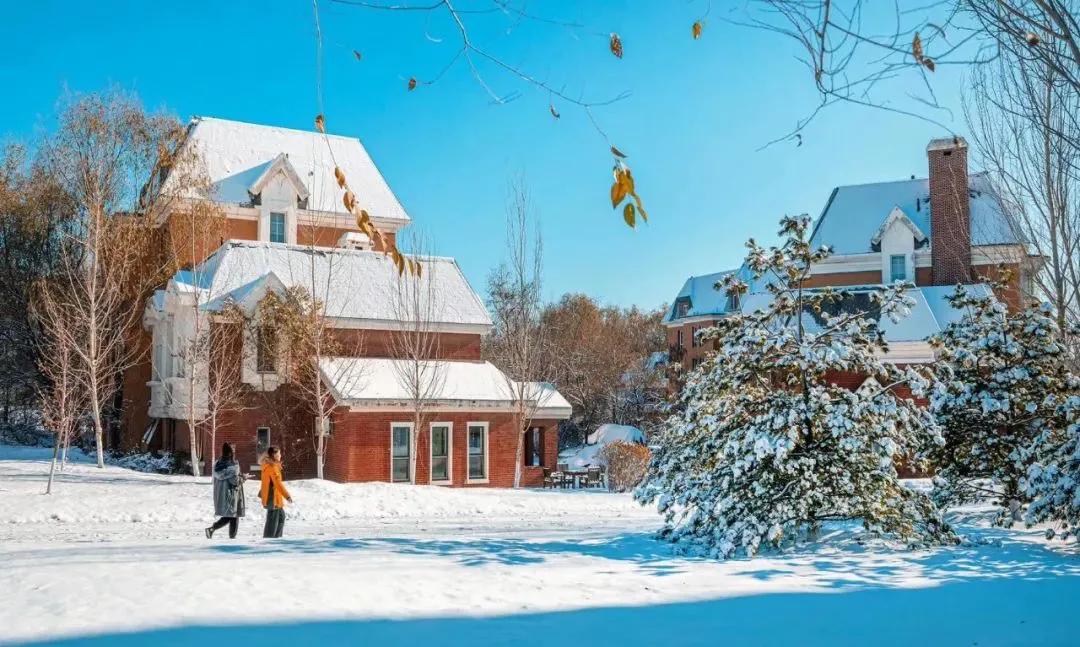 外面零下20℃,绿岛却沸腾了...