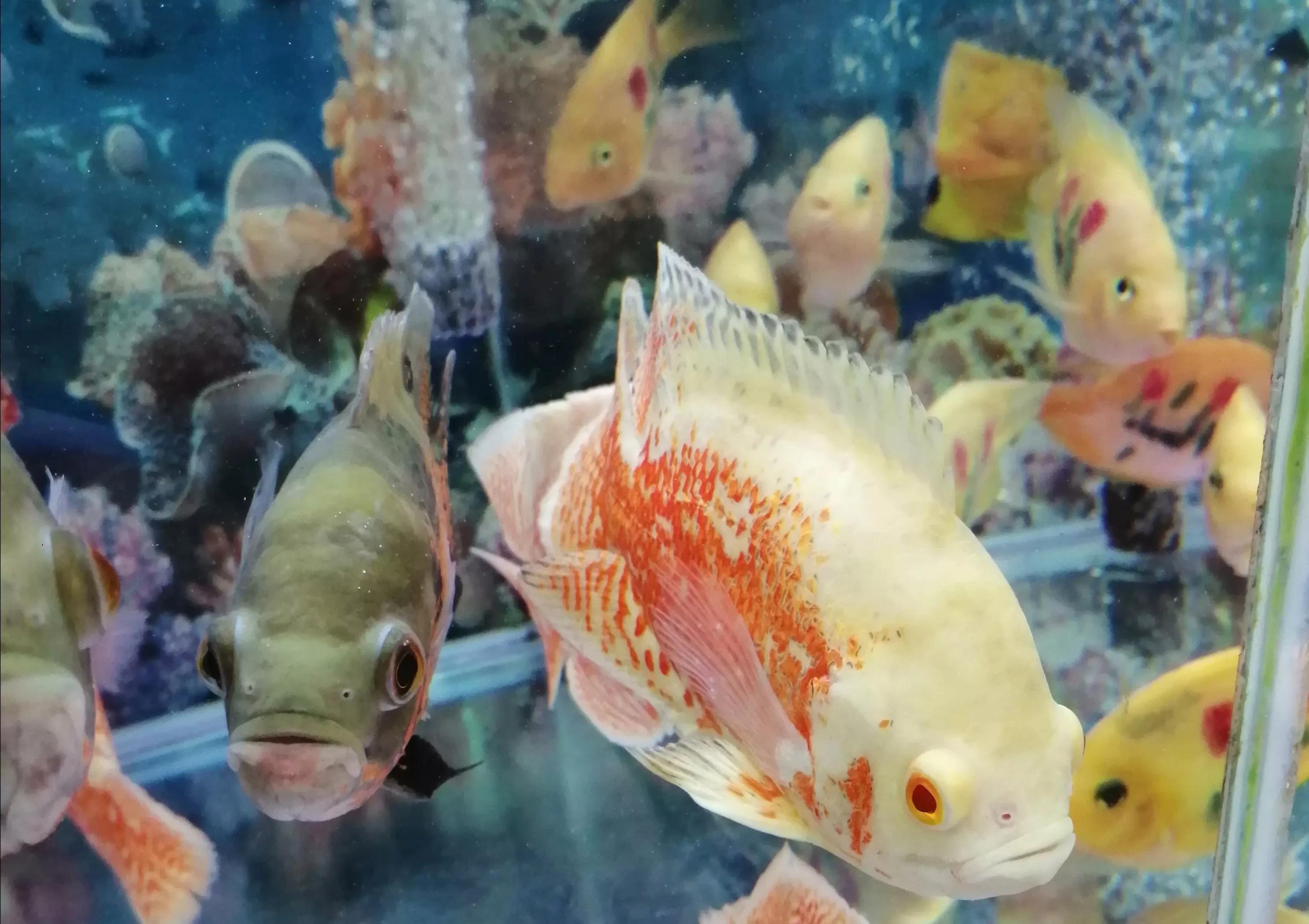 合肥庐州太太餐饮厨房,合肥庐州太太餐饮