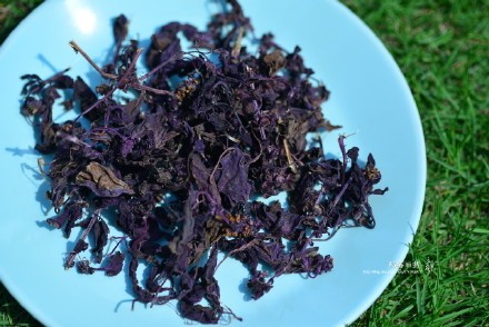 西餐常用的十三种香草介绍大全,西餐中常用的15种香料和香草