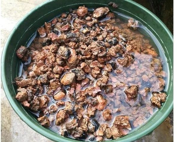 多肉变废为宝方法,废物利用养多肉