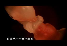 口碑炸裂宝藏纪录片推荐,宇宙生命探索纪录片