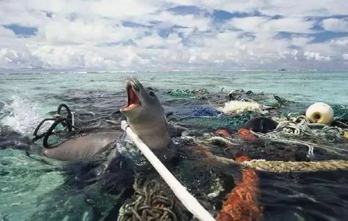 自然反义词是什么呢,自然的反义词是什么词