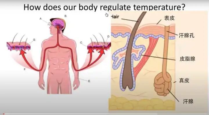 高温防止中暑这八件事千万不要做,警惕持续高温夏季中暑