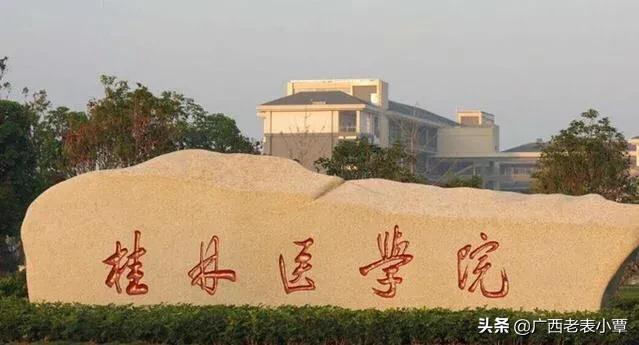 广西综合水平最高，综合排位最靠前的四所公立医学类大学