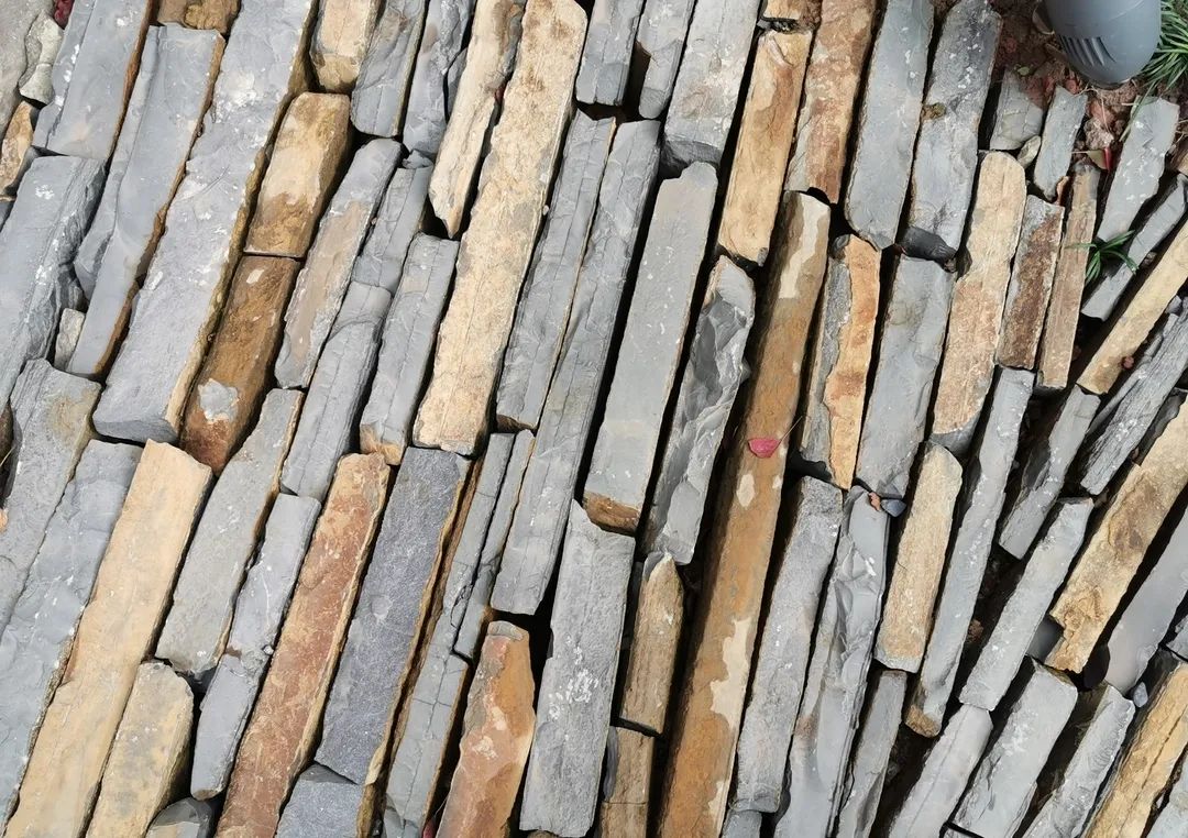 易境研学·重庆站|第二期