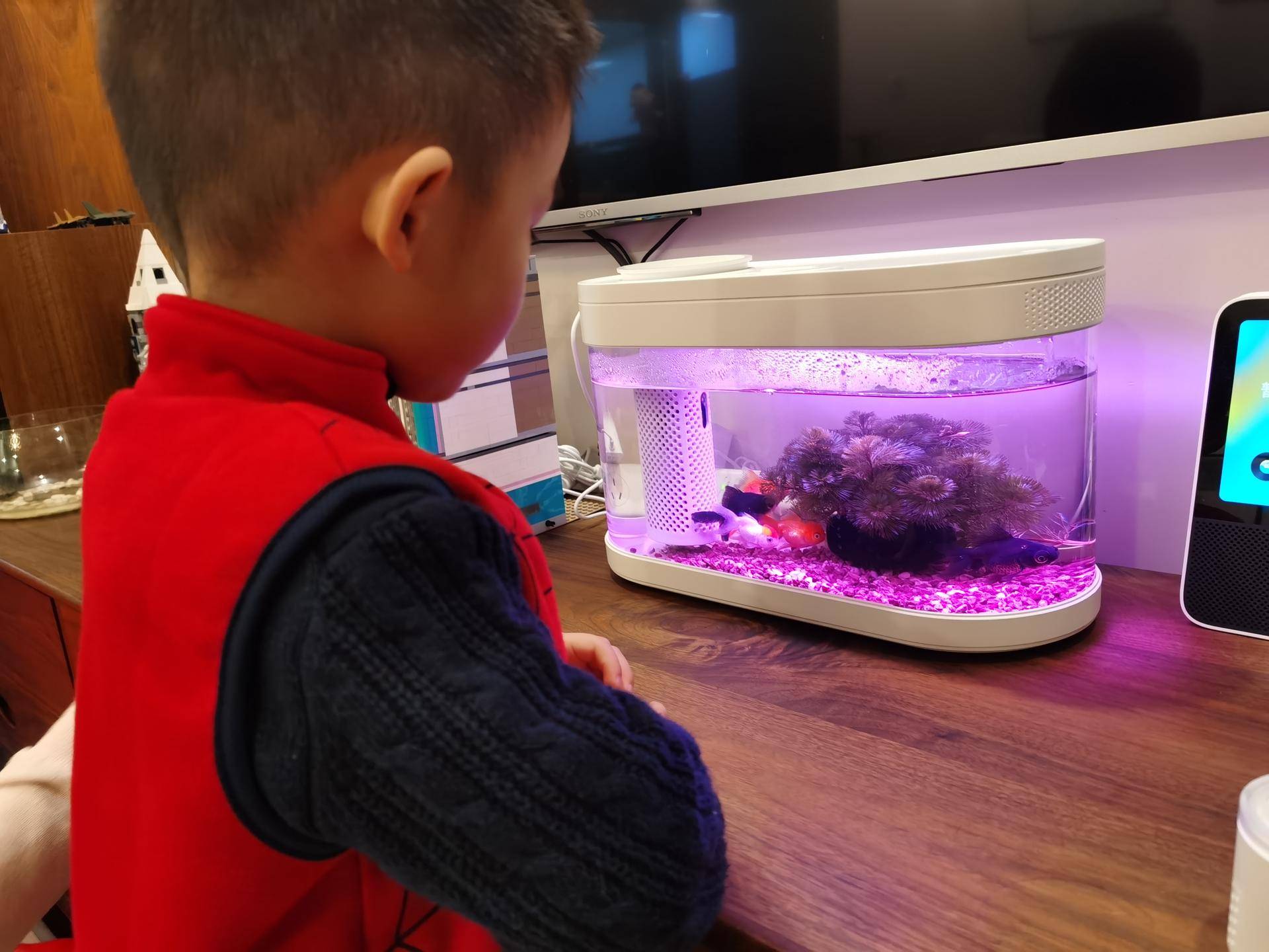 画法几何智能鱼缸开缸,画法几何最新智能模块化鱼缸评测