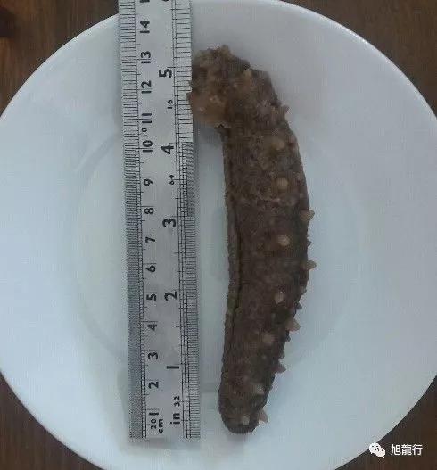 秋风起秋膘贴,秋风起贴秋膘喝羊汤