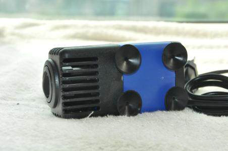 想把鱼养好，先把过滤这点事儿整明白就算向前迈了一大步