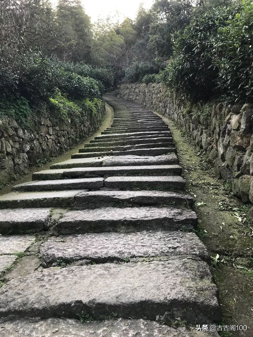越王峥大峡谷：风景壮美，迷倒众生