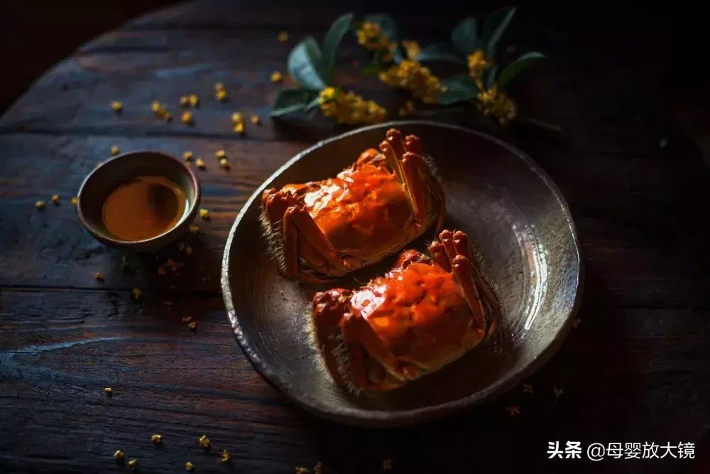 孕期11大禁忌食物有哪些,孕期的禁忌食物一览表