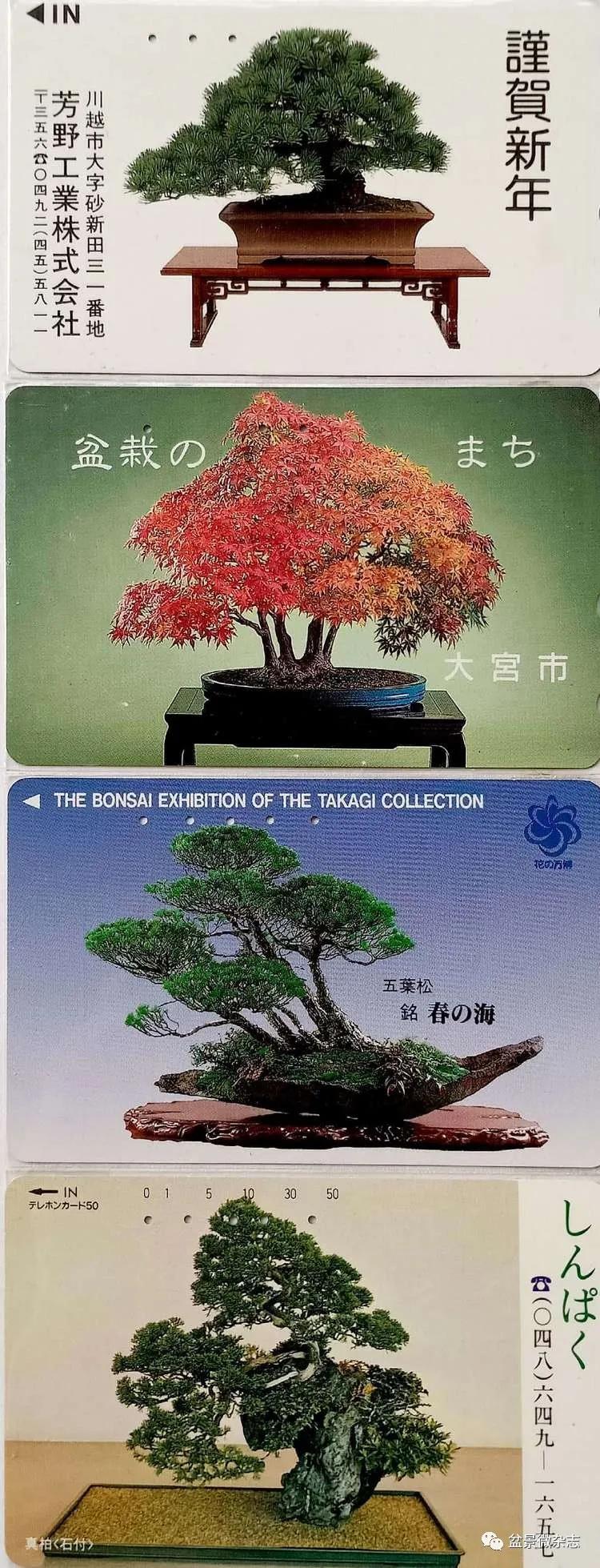 鐩嗘櫙鑱旂郴鐢佃瘽鍙风爜,涓鐩嗘櫙鑱旂郴鏂瑰紡