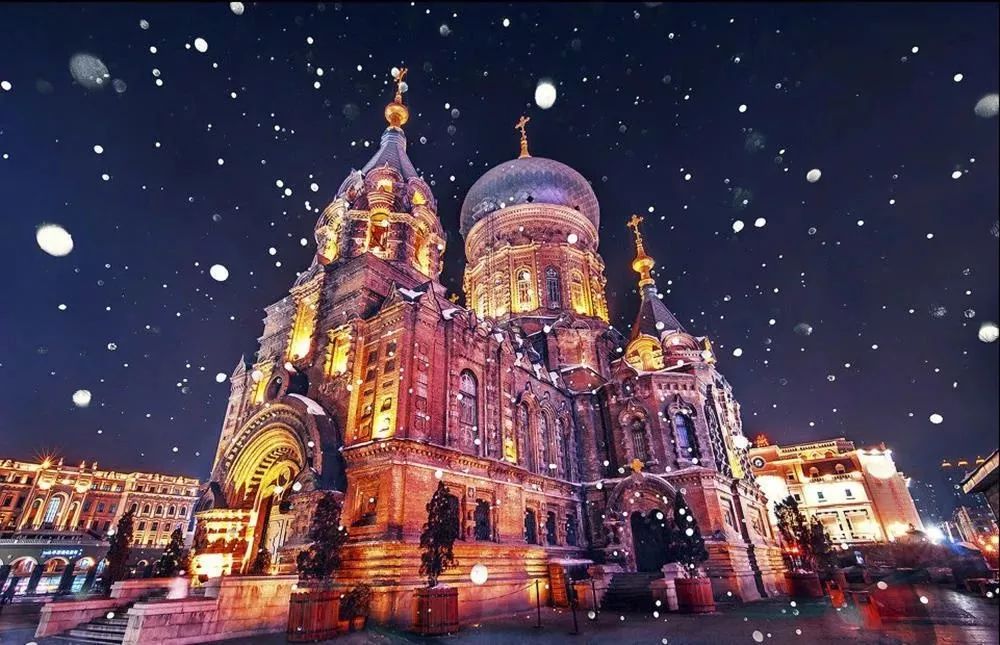 哈尔滨冰雪世界研学,新启元厦门暖冬研学营