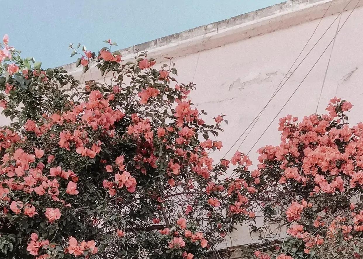 《什么是人生》,什么是人生什么是人性